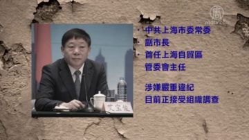 【禁闻】上海副市长落马 分析：打江迈大步