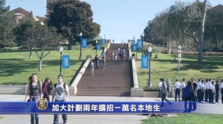 加大計劃兩年擴招一萬名本地生
