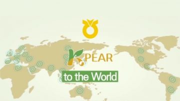 【广告】K-Pear 韩国梨