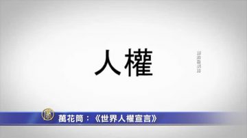 万花筒：《世界人权宣言》