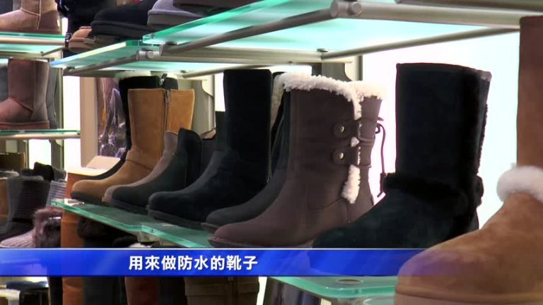 法拉盛Shoe Village 帶您穿好鞋過新年