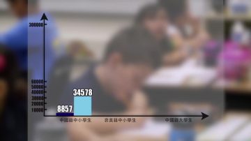 美国中小学  中国学生增长近三倍