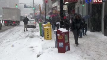 紐約市暖冬破記錄 民眾假期往哪去？