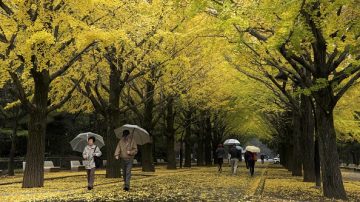 (组图)游日本华人不知道的那些事  看了绝不后悔