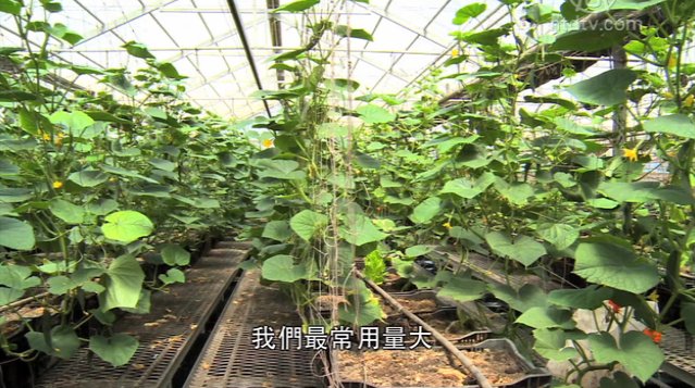 美麗心台灣：用心的人 用心的產業