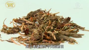 談古論今話中醫：有趣的中藥炮製