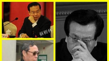 中石化前董事长放风跟习近平很熟 王岐山不买账