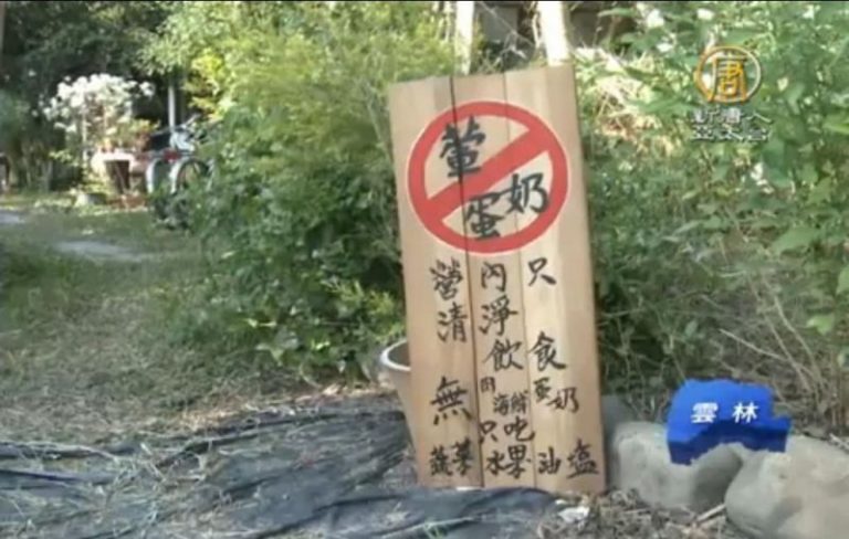 簡單生活體驗營 挑戰16天不3C