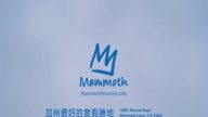 【廣告】Mammoth Mountain 猛獁山滑雪場