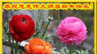 吉林省法輪功學員恭祝李洪志大師新年快樂(23條)