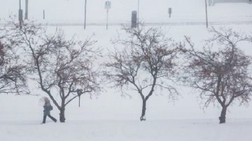 冬季风暴东移  美东北部终于降雪