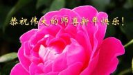 河北法輪功學員恭祝李洪志大師新年快樂(2)