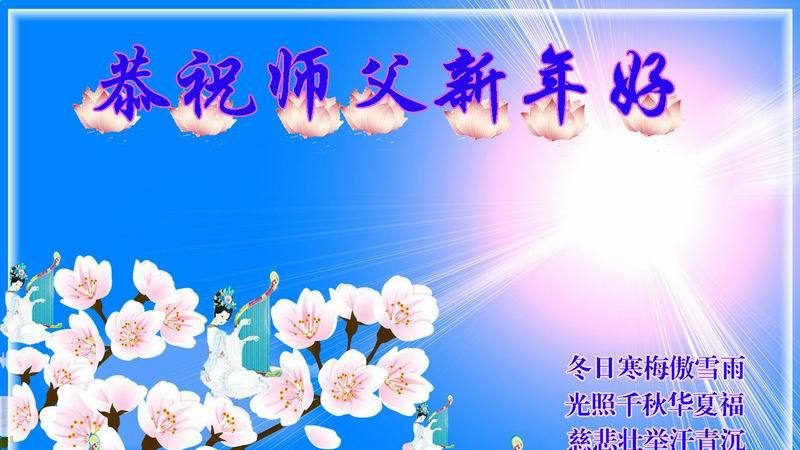 山东法轮功学员恭祝李洪志大师新年快乐(29条)