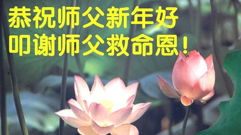 中国大陆民众恭祝李洪志大师新年好(30条)