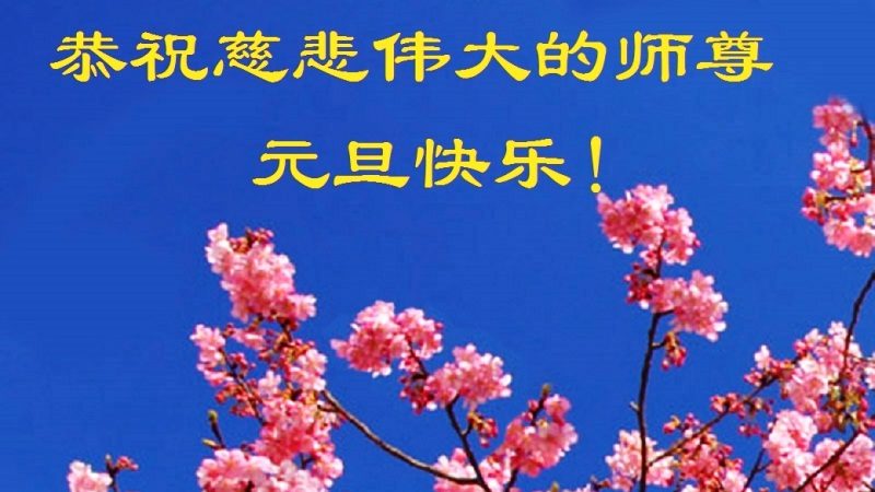 教育系统法轮功学员恭祝李洪志大师新年快乐(27条)