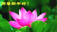 黑龍江法輪功學員恭祝李洪志大師新年好(23條)