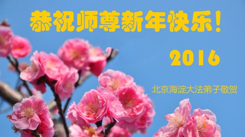 北京法輪功學員恭祝李洪志大師新年快樂(29條)