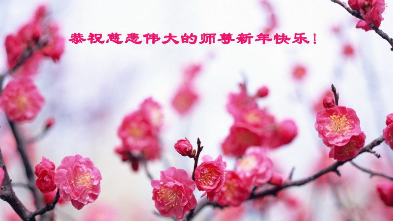 吉林市法轮功学员恭祝李洪志大师新年快乐(24条)
