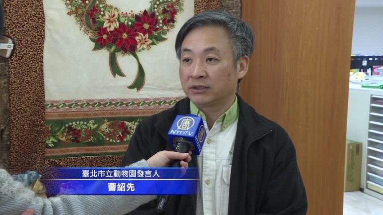 寒假何處去？ 動物園看小貓熊、水獺玩球