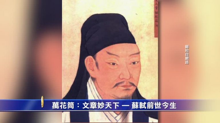 萬花筒：文章妙天下—蘇軾前世今生
