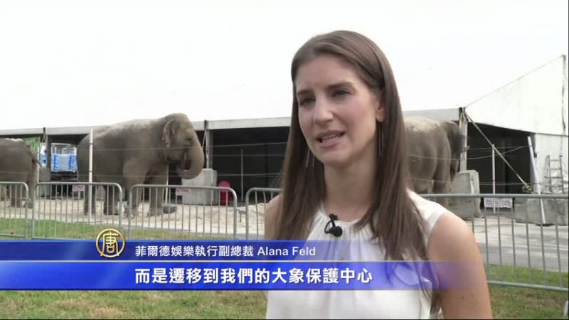 公眾關切動物權益 玲玲馬戲團大象退休