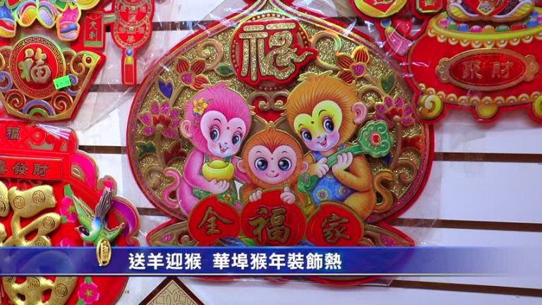 送羊迎猴 華埠猴年裝飾熱