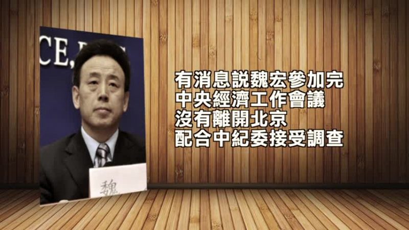 四川省长魏宏涉严重违纪被查