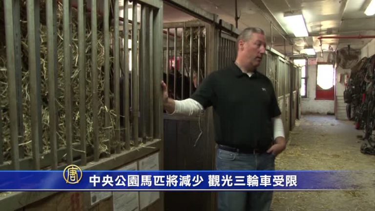 紐約中央公園馬匹將減少 觀光三輪車受限