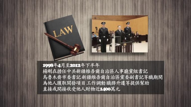 新疆前黨委副書記 楊剛被判12年
