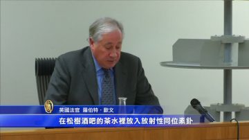 俄前特工投毒案 英法官报告直指普京