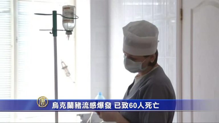 烏克蘭豬流感爆發 已致60人死亡