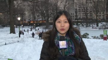 遇史上第二大雪 纽约市从雪堆里复甦