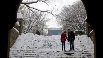 多伦多寒冷天气会持续一周 环境部发布降雪警告