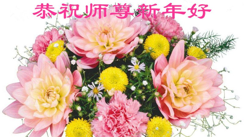石家庄法轮功学员恭祝李洪志大师新年快乐 (27条)
