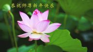 保定法輪功學員恭祝李洪志大師新年快樂 (28條)