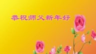 河南法輪功學員恭祝李洪志大師新年快乐(29条)