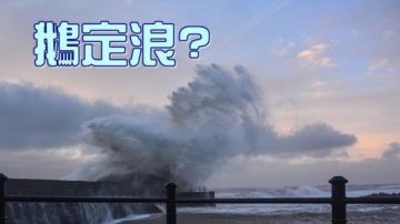 天降異象？英海岸巨浪現動物形態