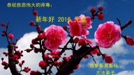 俄羅斯、羅馬尼亞、烏克蘭法輪功學員恭祝李洪志大師新年好