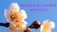 青島法輪功學員恭祝李洪志大師新年快樂(28條)