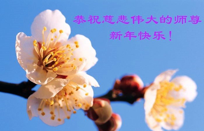青岛法轮功学员恭祝李洪志大师新年快乐(28条)