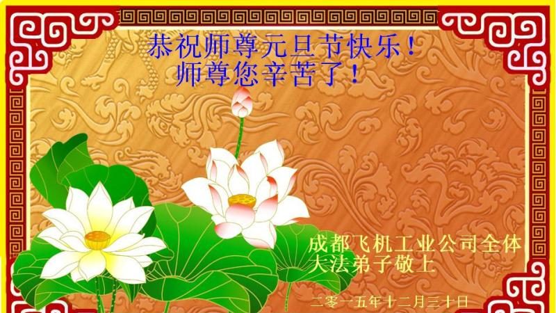 各行业法轮功学员恭祝李洪志大师新年好(37条)
