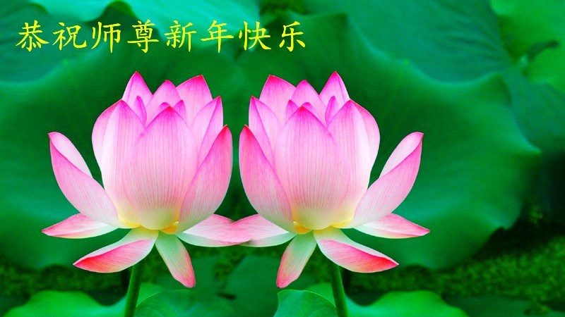 重庆法轮功学员恭祝李洪志大师新年快乐(25条)