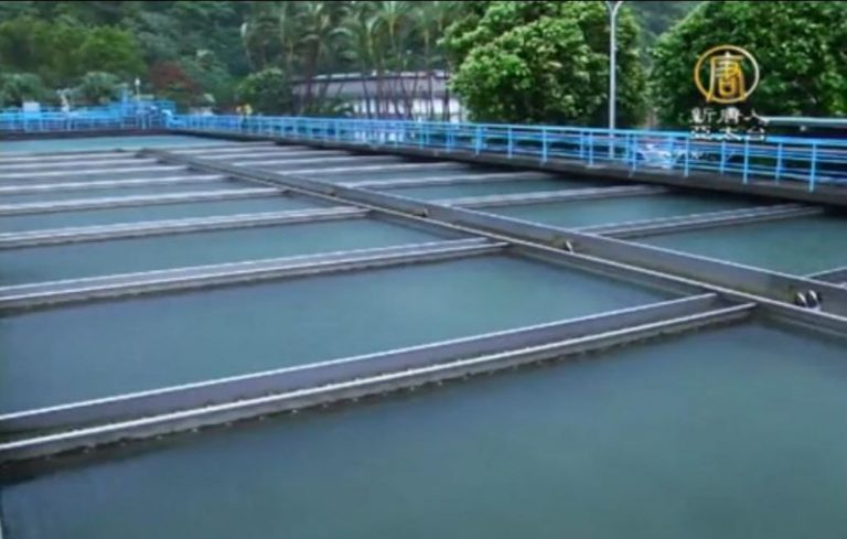 水庫驚傳阿米巴原蟲 台水：淨水後可去除