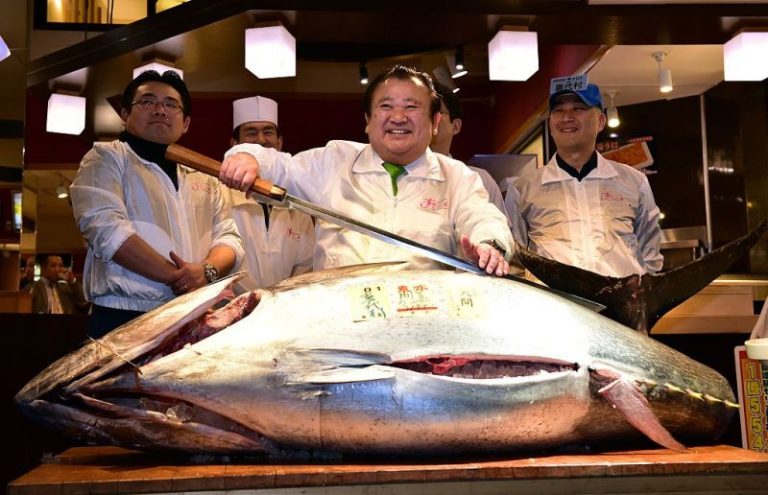 東京鮪魚王重達200kg 約12萬美元標出
