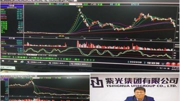 謝金河：紫光被熔斷 減輕台灣電子股壓力