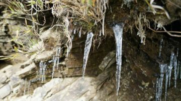 台灣合歡山 飄雪成銀白世界