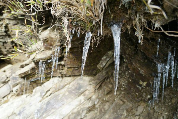 台灣合歡山 飄雪成銀白世界