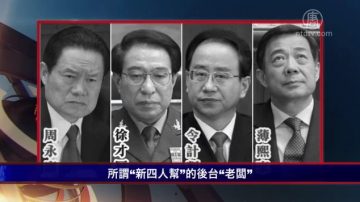 【严真点评】揭“新四人帮”后台老板 抓捕江泽民已倒计时