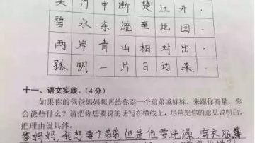 要不要弟妹？陆小学生回答“二孩”考题让人笑趴了！