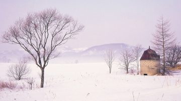 气候变迁影响全球 各地天气异常